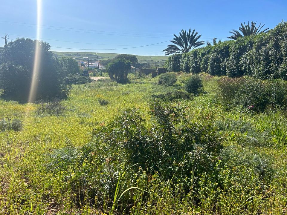 Helårsgrund i Vila do Bispo Municipality, Faro - foto 5